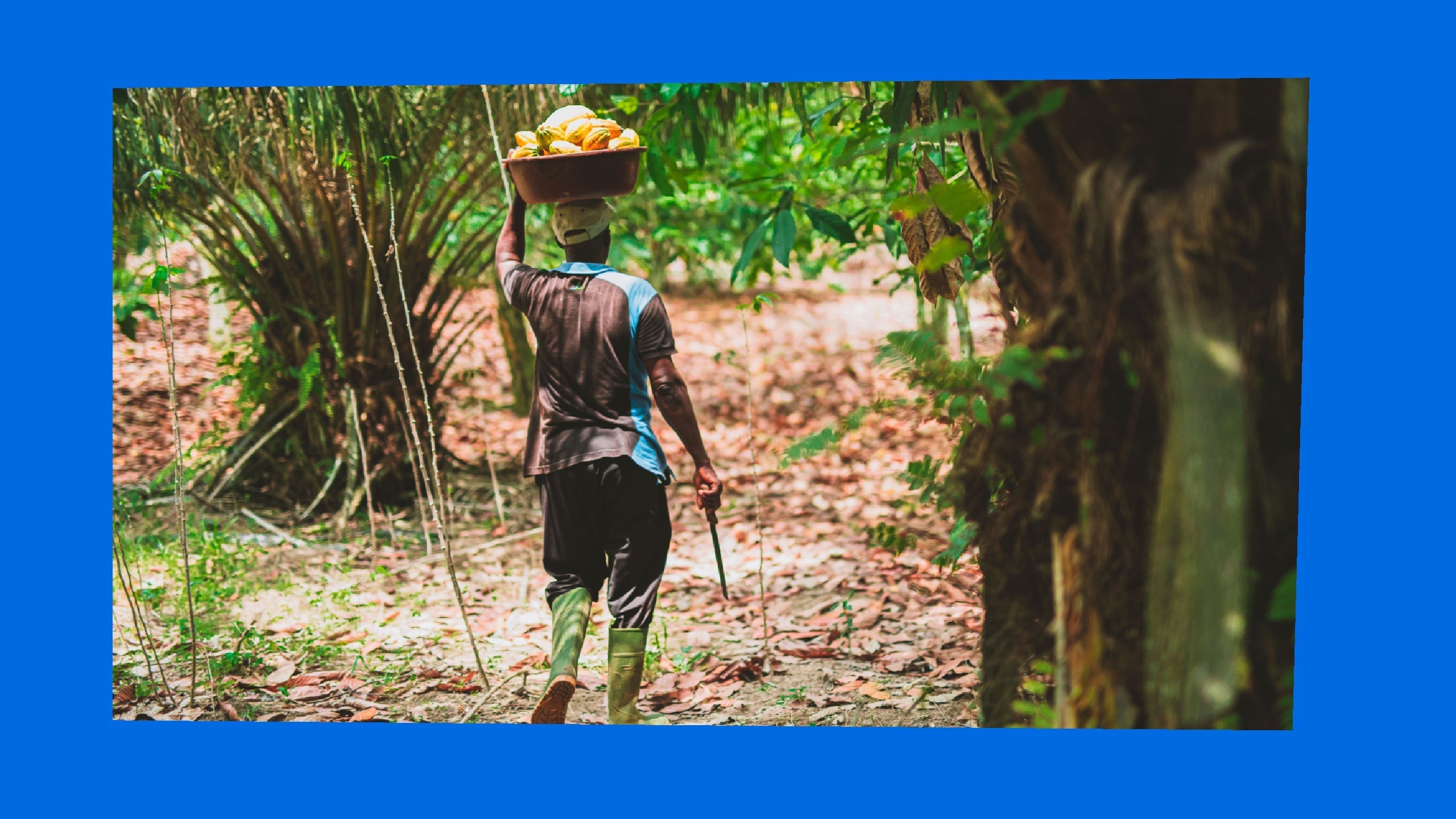 3 simple actions this Fairtrade Fortnight-Tony’s Chocolonely United Kingdom