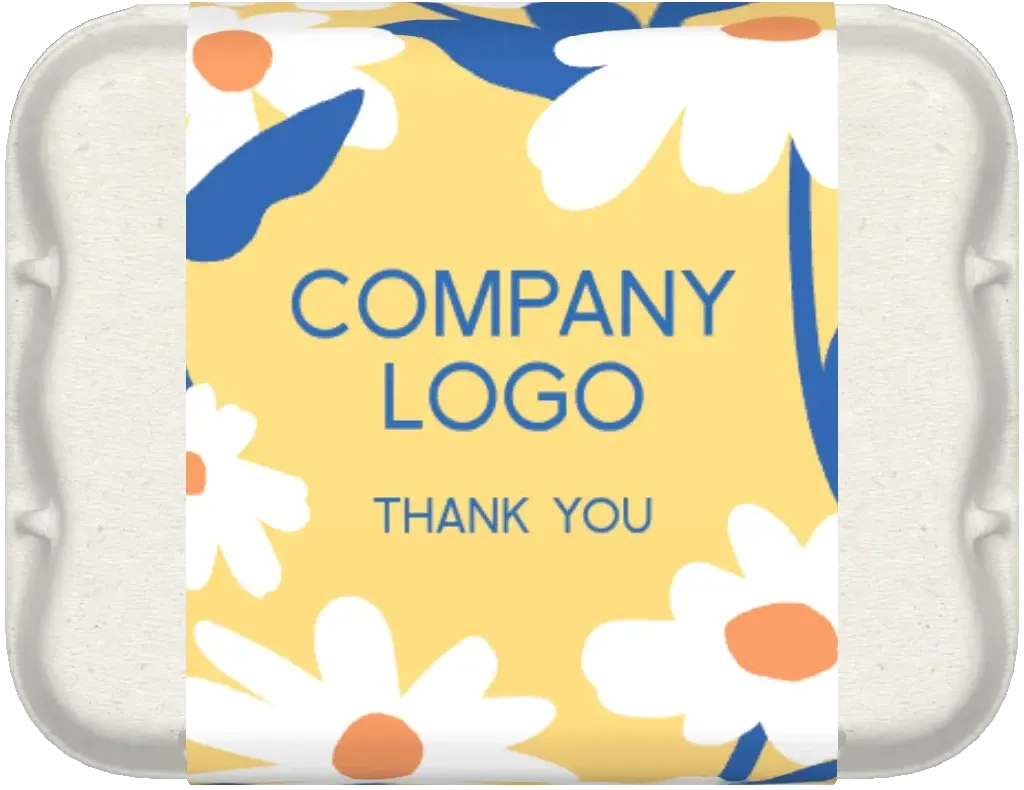 daisies easter egg box